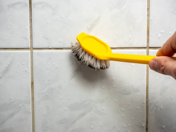 Best Best Mold Removal Companies  in Benjamin, UT
