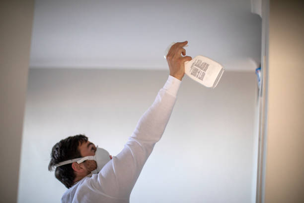Best Home Mold Removal  in Benjamin, UT