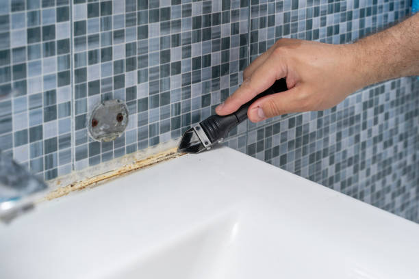 Certified Mold Removal in Benjamin, UT