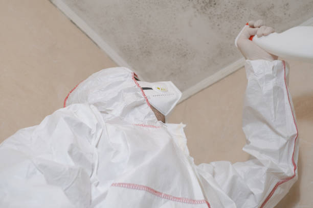 Best Mold Removal Near Me  in Benjamin, UT