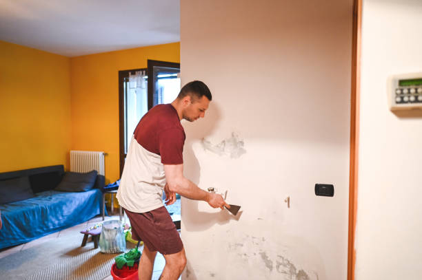 Best Emergency Mold Removal  in Benjamin, UT